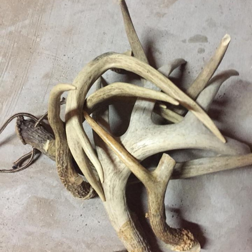 Meet your Posher, Jose & Brenda